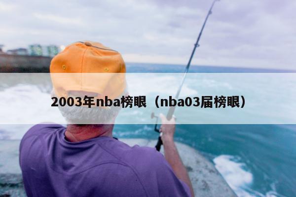 2003年nba榜眼（nba03届榜眼）