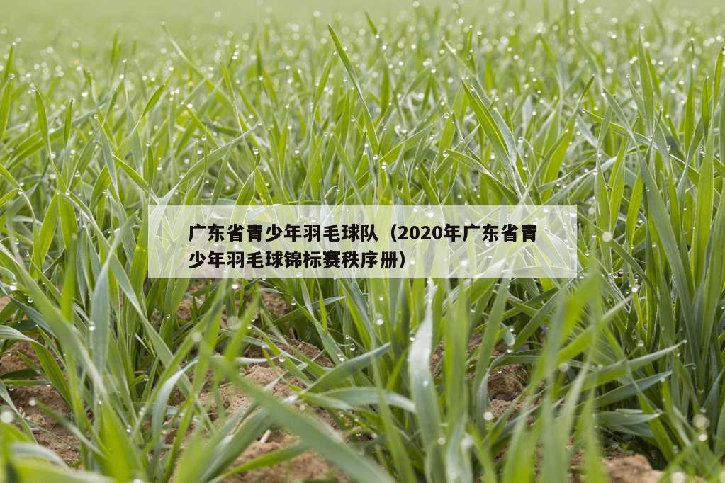 广东省青少年羽毛球队（2020年广东省青少年羽毛球锦标赛秩序册）