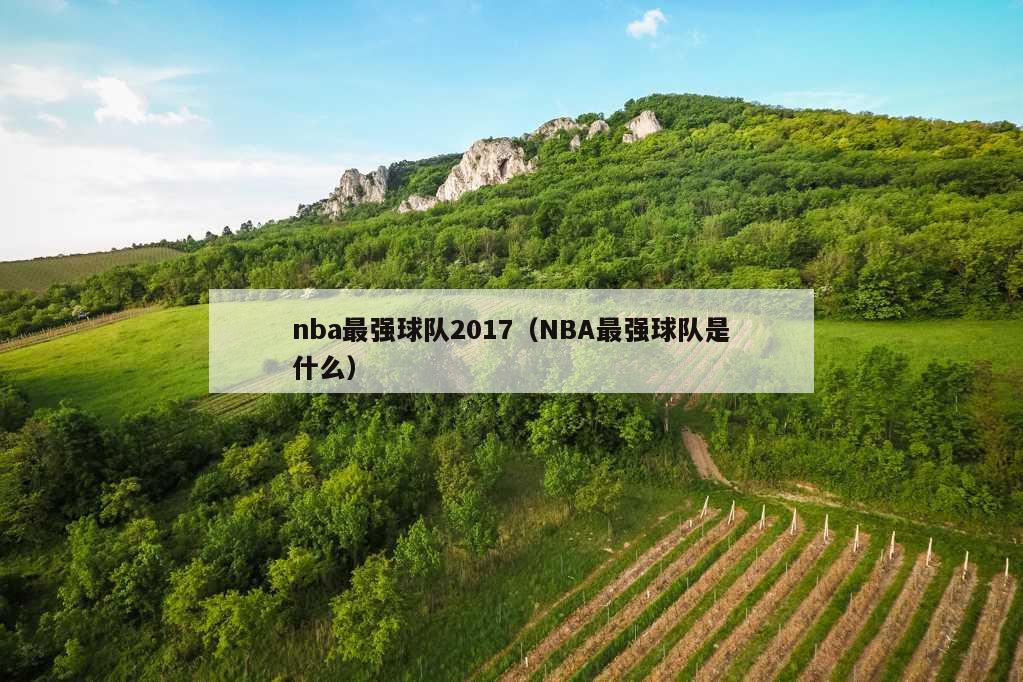 nba最强球队2017（NBA最强球队是什么）