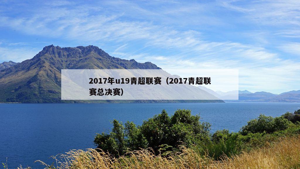 2017年u19青超联赛（2017青超联赛总决赛）