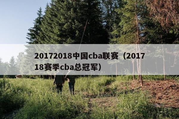 20172018中国cba联赛（201718赛季cba总冠军）