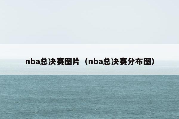 nba总决赛图片（nba总决赛分布图）