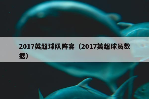 2017英超球队阵容（2017英超球员数据）