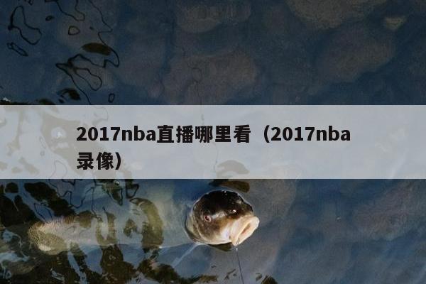 2017nba直播哪里看（2017nba录像）