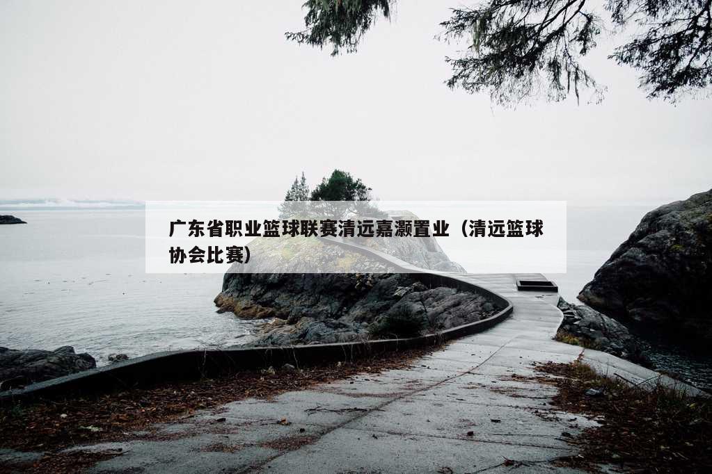 广东省职业篮球联赛清远嘉灏置业（清远篮球协会比赛）