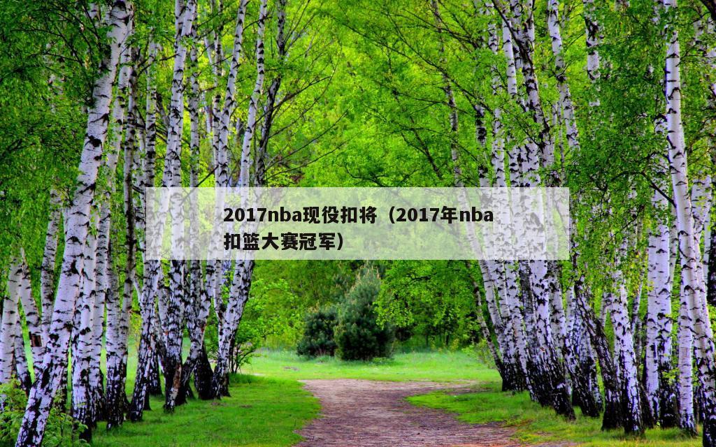 2017nba现役扣将（2017年nba扣篮大赛冠军）