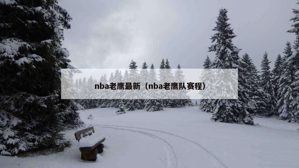 nba老鹰最新（nba老鹰队赛程）