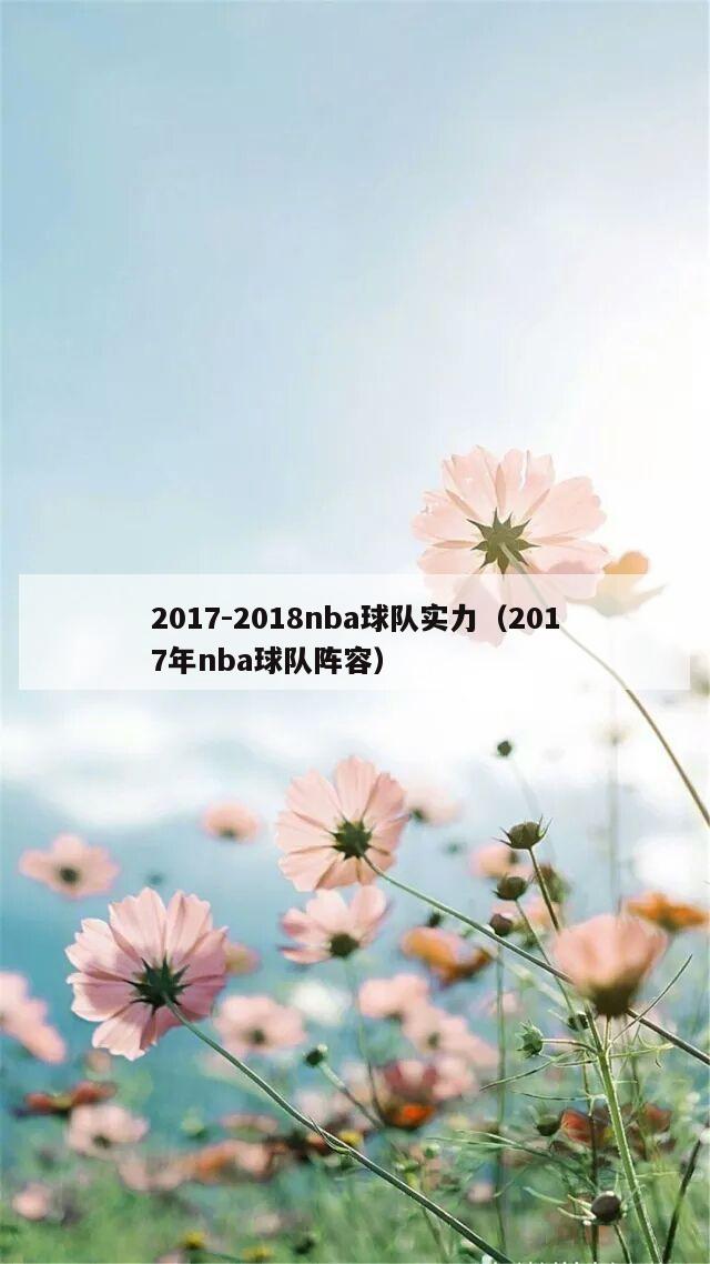 2017-2018nba球队实力（2017年nba球队阵容）