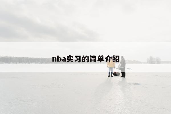 nba实习的简单介绍