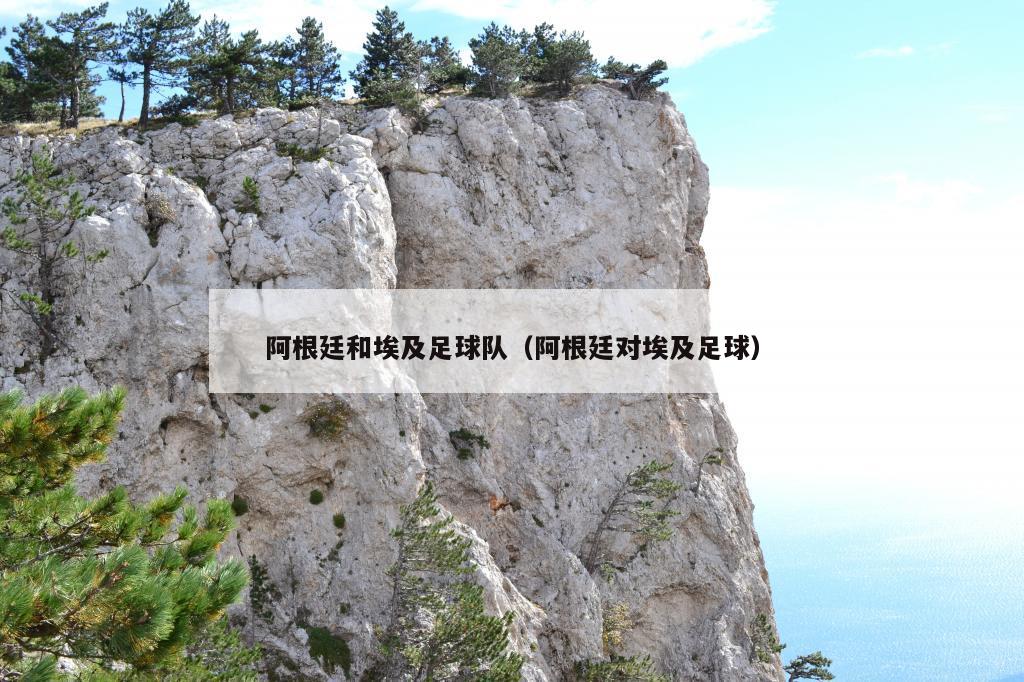 阿根廷和埃及足球队（阿根廷对埃及足球）