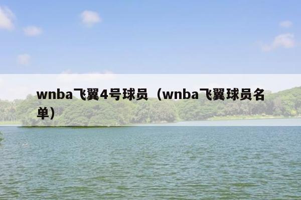 wnba飞翼4号球员（wnba飞翼球员名单）