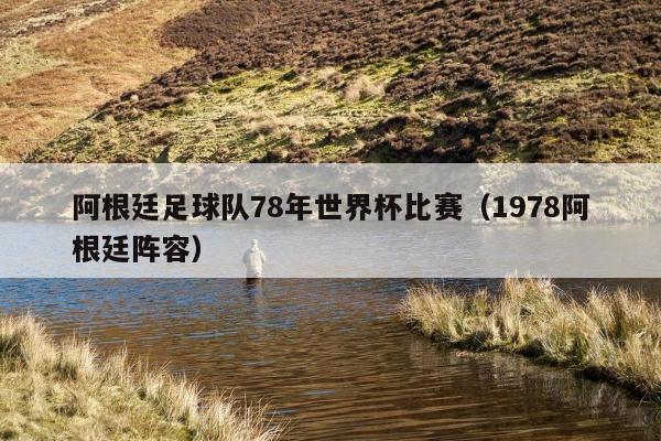 阿根廷足球队78年世界杯比赛（1978阿根廷阵容）