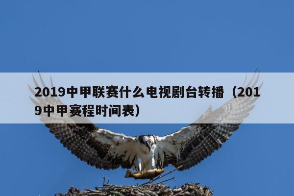 2019中甲联赛什么电视剧台转播（2019中甲赛程时间表）