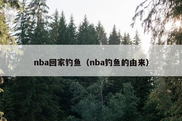 nba回家钓鱼（nba钓鱼的由来）