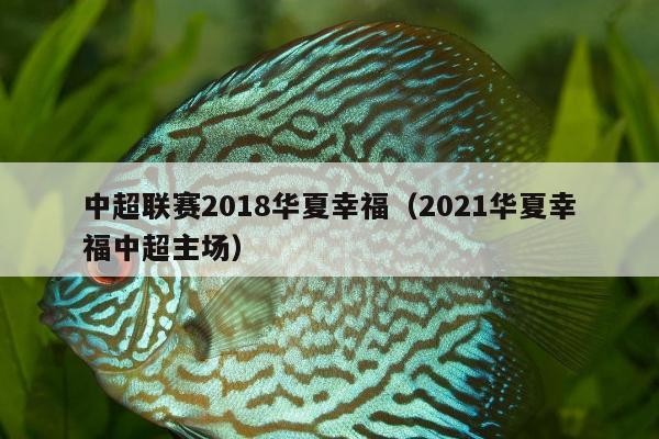 中超联赛2018华夏幸福（2021华夏幸福中超主场）
