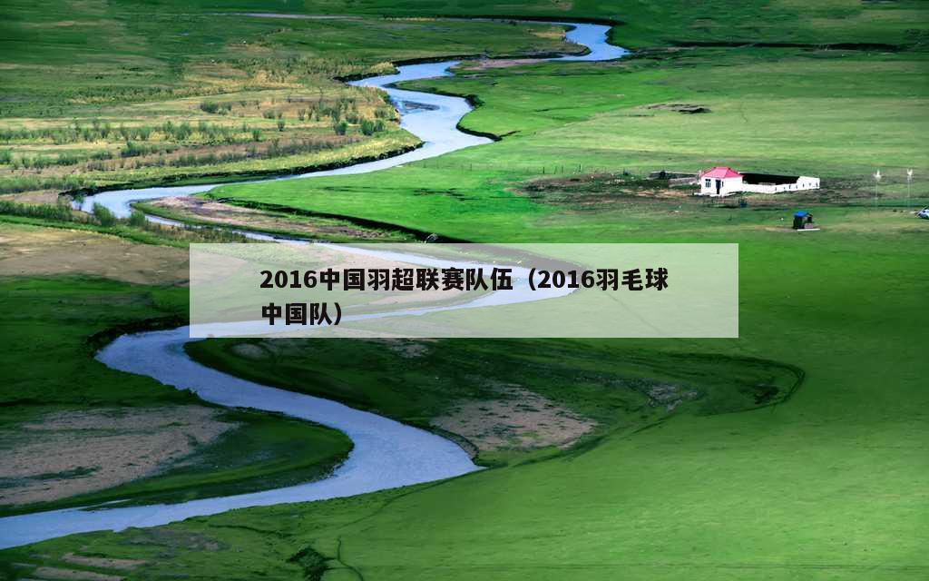2016中国羽超联赛队伍（2016羽毛球中国队）
