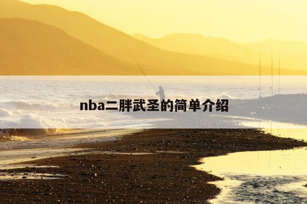 nba二胖武圣的简单介绍