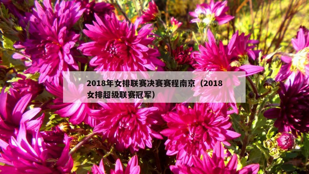 2018年女排联赛决赛赛程南京（2018女排超级联赛冠军）