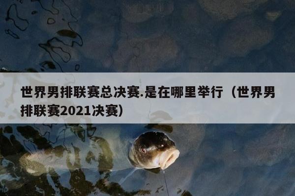 世界男排联赛总决赛.是在哪里举行（世界男排联赛2021决赛）