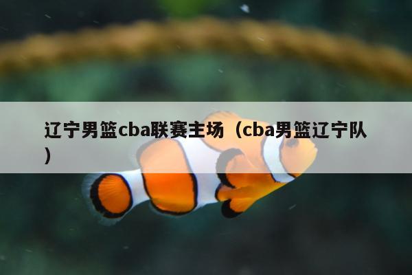 辽宁男篮cba联赛主场（cba男篮辽宁队）