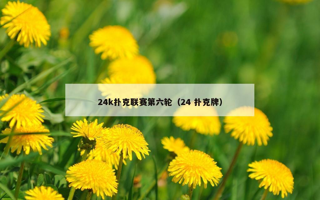 24k扑克联赛第六轮（24 扑克牌）