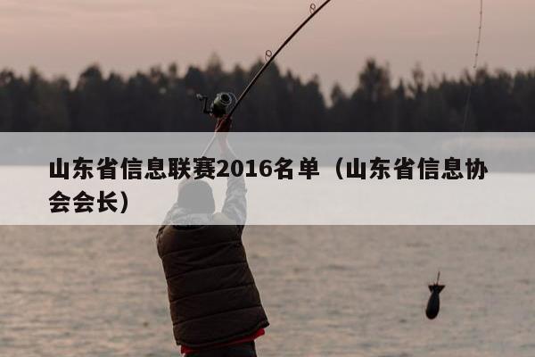 山东省信息联赛2016名单（山东省信息协会会长）