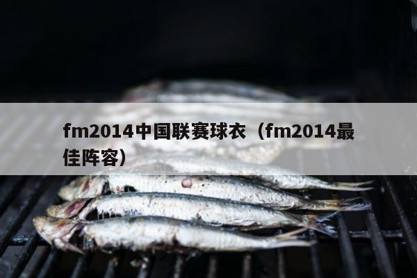 fm2014中国联赛球衣（fm2014最佳阵容）