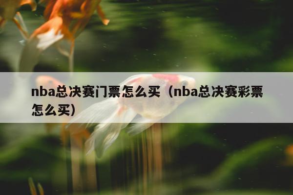 nba总决赛门票怎么买（nba总决赛彩票怎么买）