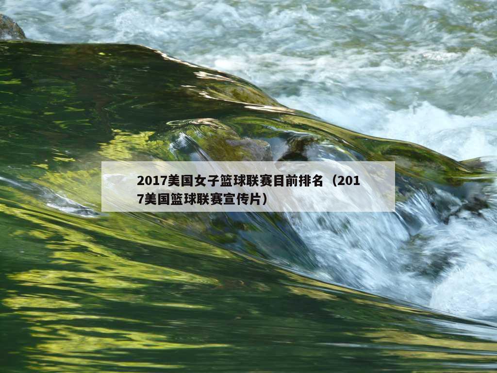 2017美国女子篮球联赛目前排名（2017美国篮球联赛宣传片）