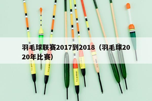 羽毛球联赛2017到2018（羽毛球2020年比赛）