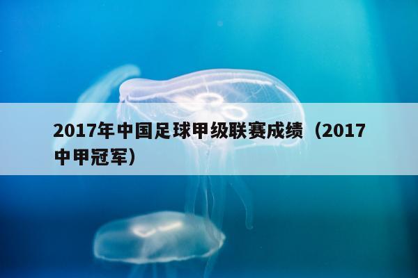 2017年中国足球甲级联赛成绩（2017中甲冠军）