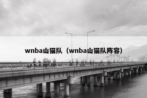 wnba山猫队（wnba山猫队阵容）