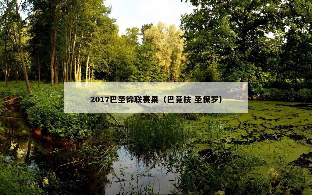 2017巴圣锦联赛果（巴竞技 圣保罗）