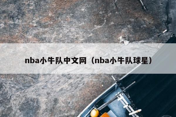 nba小牛队中文网（nba小牛队球星）