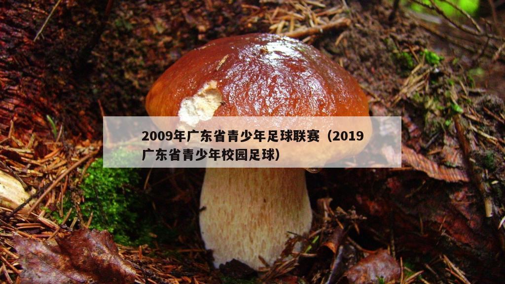 2009年广东省青少年足球联赛（2019广东省青少年校园足球）