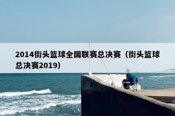 2014街头篮球全国联赛总决赛（街头篮球总决赛2019）