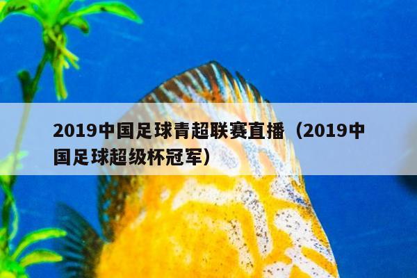 2019中国足球青超联赛直播（2019中国足球超级杯冠军）