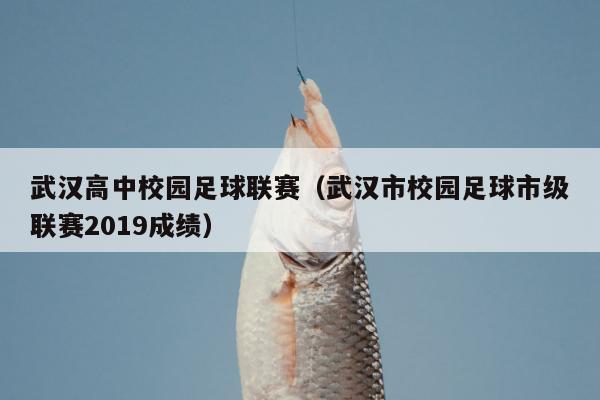 武汉高中校园足球联赛（武汉市校园足球市级联赛2019成绩）