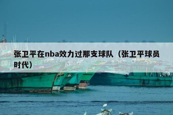 张卫平在nba效力过那支球队（张卫平球员时代）