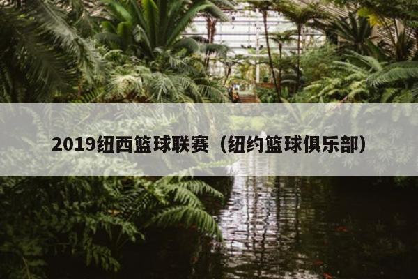 2019纽西篮球联赛（纽约篮球俱乐部）