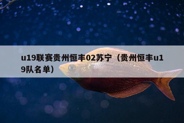 u19联赛贵州恒丰02苏宁（贵州恒丰u19队名单）