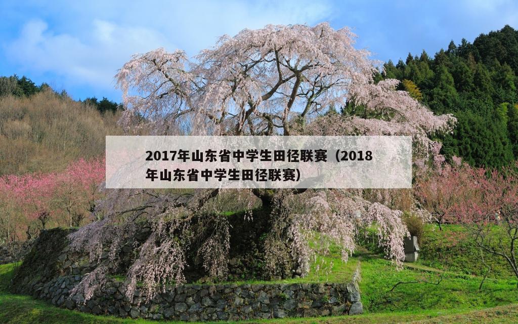 2017年山东省中学生田径联赛（2018年山东省中学生田径联赛）