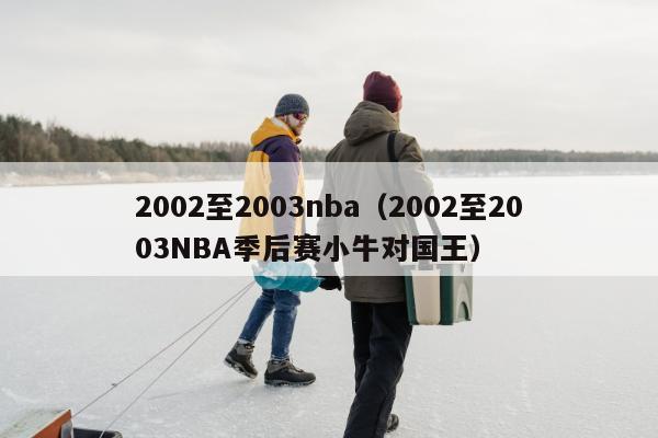 2002至2003nba（2002至2003NBA季后赛小牛对国王）