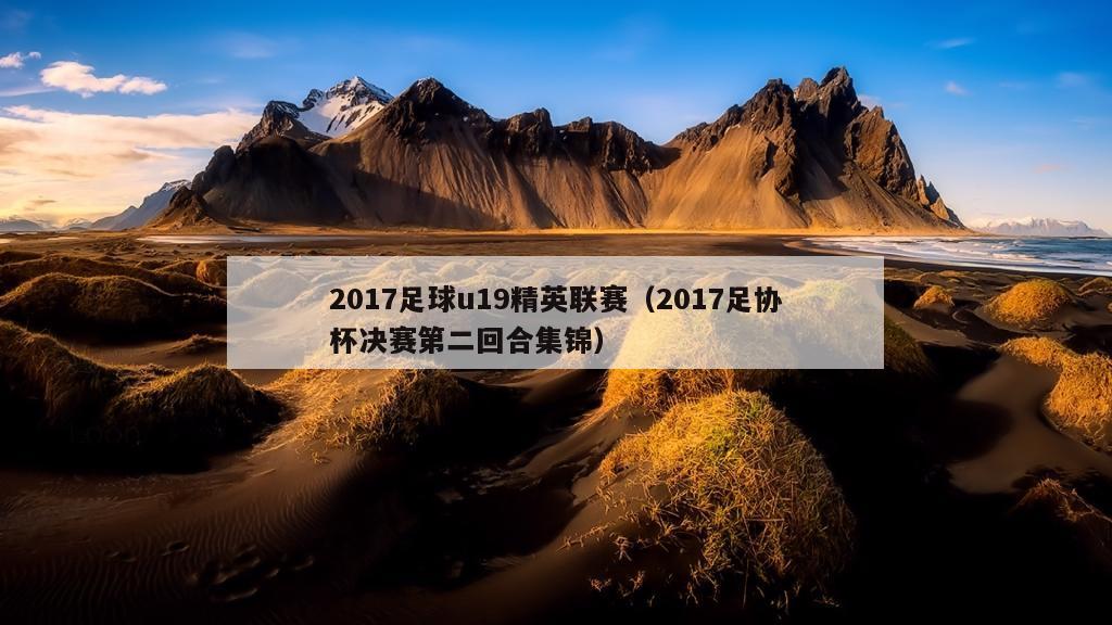 2017足球u19精英联赛（2017足协杯决赛第二回合集锦）