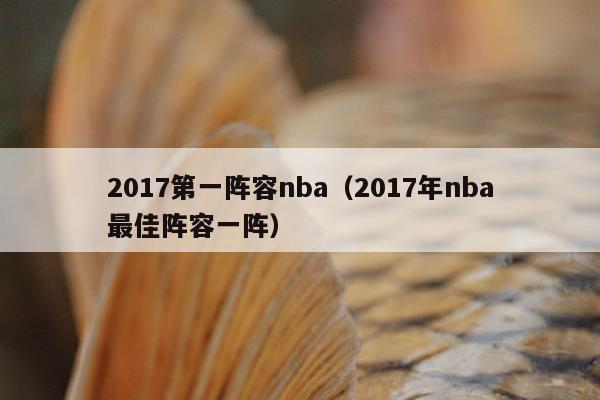 2017第一阵容nba（2017年nba最佳阵容一阵）