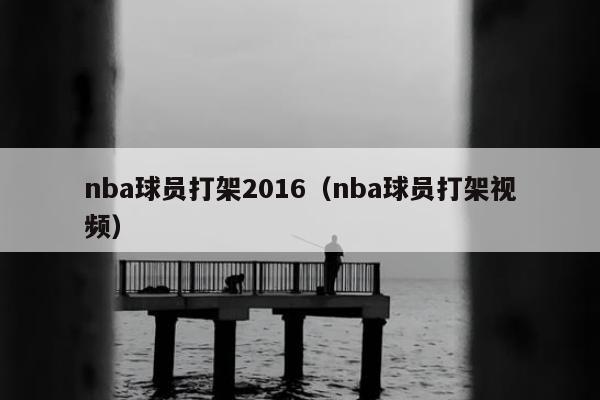 nba球员打架2016（nba球员打架视频）