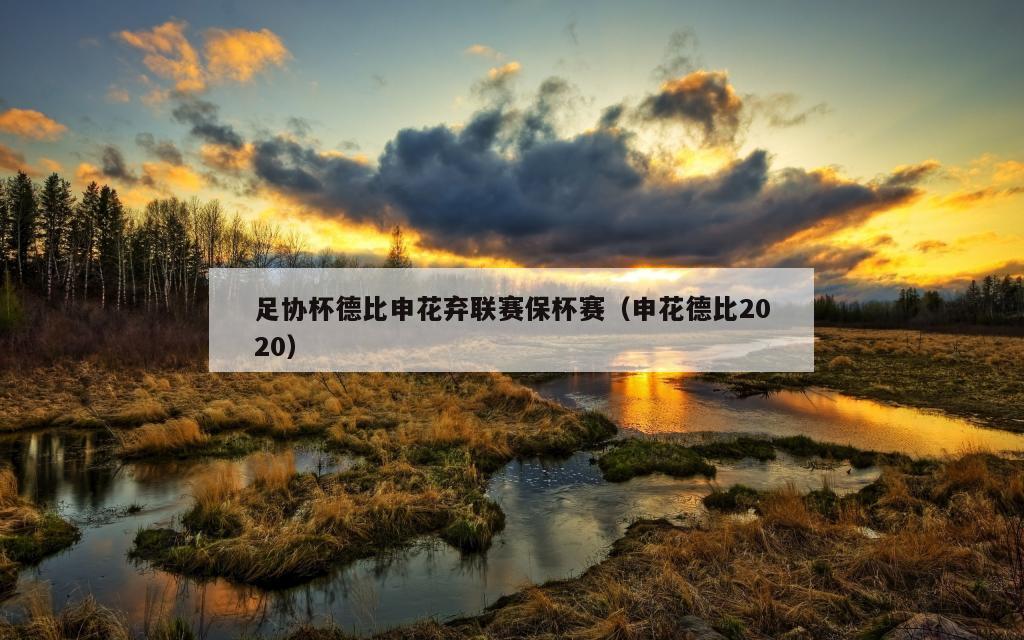 足协杯德比申花弃联赛保杯赛（申花德比2020）