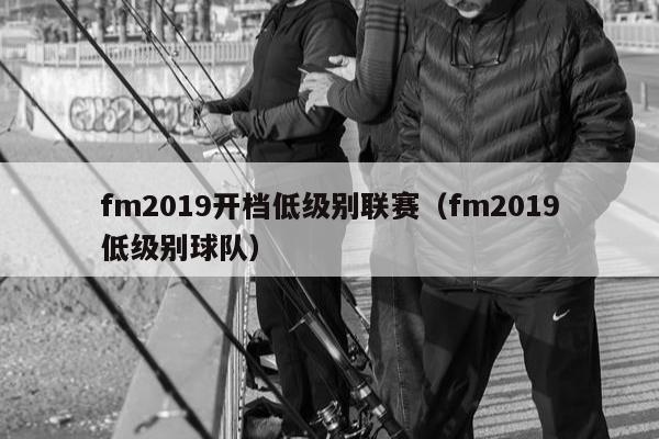 fm2019开档低级别联赛（fm2019低级别球队）