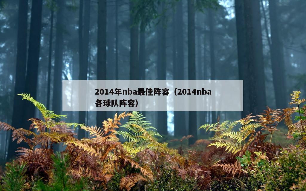 2014年nba最佳阵容（2014nba各球队阵容）
