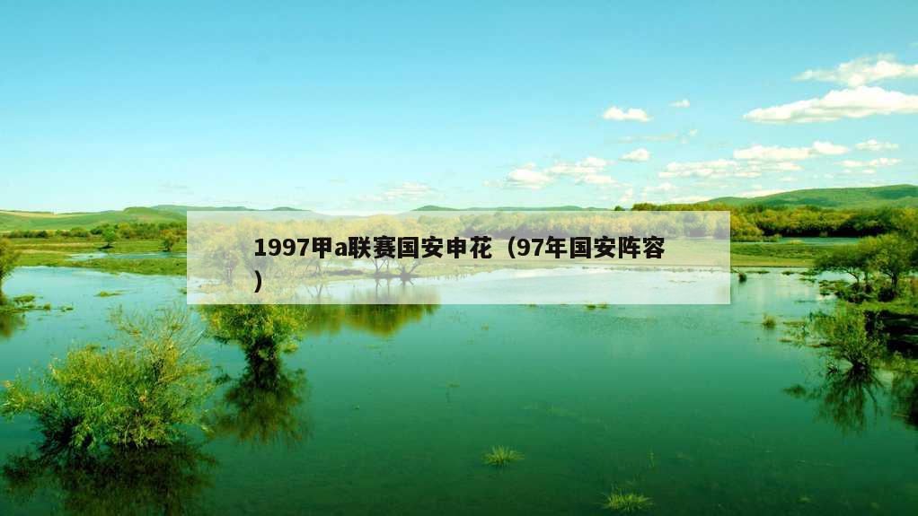1997甲a联赛国安申花（97年国安阵容）